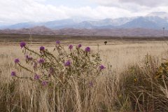 04_Great Sand Dunes National Park_1